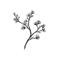 Twig vector illustration isolated on transparent background
