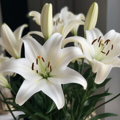 Obraz premium white lilies on black background