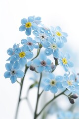 Pastel blue forget-me-nots wall art