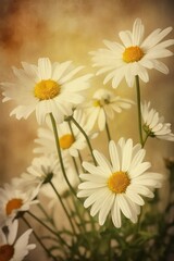Fototapeta premium bouquet of daisies
