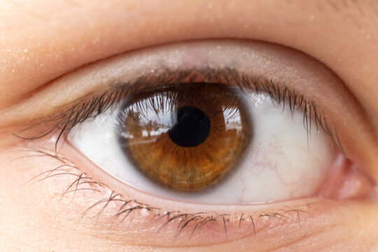 Close-up photo of a human eye with brown iris
