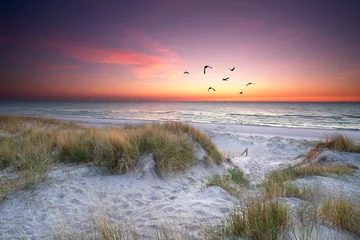 Fototapeten Strand und Meer im Sonnenuntergang © Jenny Sturm
