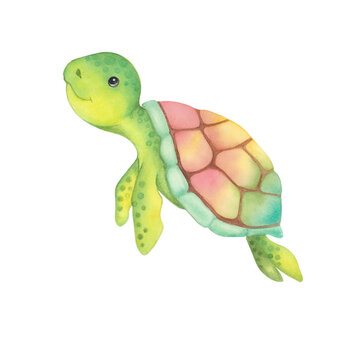 Baby sea cartoon turtle watercolor illustration.