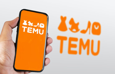 Hand holding a phone with Temu logo displayed on the screen