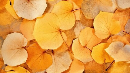 Fototapeta na wymiar Aspen leaves as a Horizontal background, Aspen forest floor with warm colors, ambers, yellows and oranges, as a background. Nature-themed, photorealistic illustrations in JPG. Generative AI