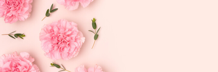 Banner with pink carnation flowers and green eucalyptus branches scattered on a beige background. Springtime concept.