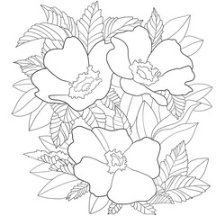 coloring page in the idea of ​​poppies in leaves