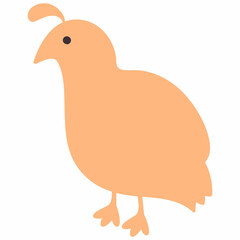 Quail drawn cartoon for decoration.