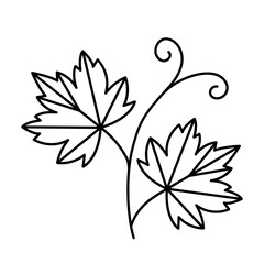 Grapevine icon. Vine with grape leaves and swirls. Line vector illustration isolated on white background.