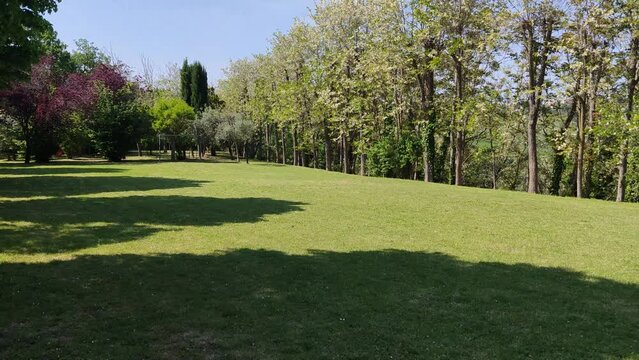 Vista nel parco