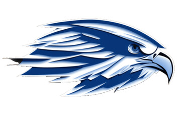 illustration of a eagle , hawk logo vector