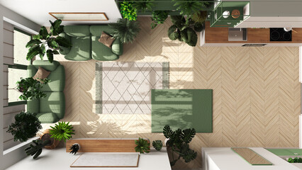 Love for plants concept. Minimal modern living room and kitchen interior design in white and green tones. Sofa and many house plants. Urban jungle idea, top view, plan, above - obrazy, fototapety, plakaty