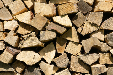 Tree cut cross section texture. Wood industry background. Chopped wood texture. Stacked tree logs pattern. Pile of raw tree wood in forest. Firewood background.	