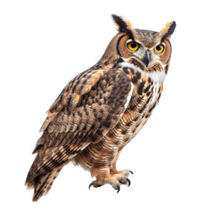 Fototapeta premium a Great-Horned Owl sitting, full body portrait, a nocturnal bird of prey, piercing eyes, Nature-themed, photorealistic illustrations in a PNG, cutout, and isolated. Generative AI