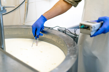 An employee measures the temperature of milk being pasteurized in a vat at a cheese factory using a professional device - obrazy, fototapety, plakaty