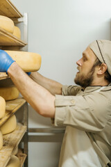 cheese maker in uniform at cheese production man in warehouse with wooden shelves full of cheese...