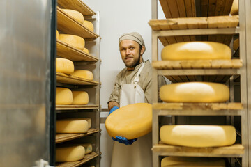 cheese maker in uniform at cheese production man stands in warehouse with wooden shelves full of...