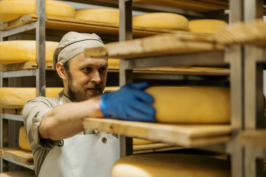 cheese maker in uniform at cheese production man stands in warehouse with wooden shelves full of cheese heads holds cheese in hand