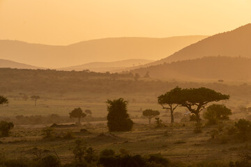 Fototapeta na wymiar Iconic dusk orange sunset scene in the Masaai Mara reserve in Kenya Africa. Dusty scene