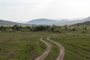 Fototapeta na wymiar Dirt track roads for safari vehicles to travel through the Masaai Mara Reserve in Kenya, for safari toursits to go on game drives