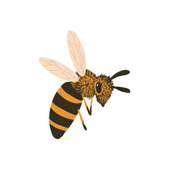 bee, insect of nature. Flat vector illustration.