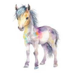 watercolor baby horse. Original watercolor stock illustration of baby horse.
