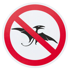 No pterosaur sign © BreizhAtao