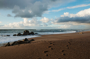 Fototapeta na wymiar Beach in Portugal, Atlantic coast in the Porto area