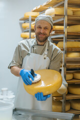 smiling cheesemaker in gloves cleans cheese with a brush in dairy farm warehouse Dairy production...