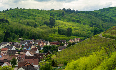 Le village de Katzenthal, entre forêt et vignoble, CeA, Alsace, Grand Est, France