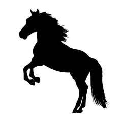 Fototapeta na wymiar Rearing Horse silhouette isolated on white background. vector illustration