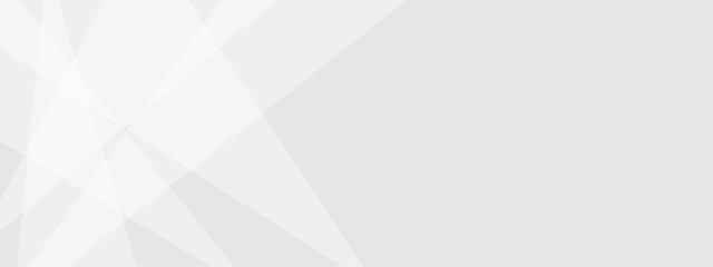 White and gray modern geometric triangle abstract graphic design banner pattern background. You can use for wallpaper, banner, poster, template and many more.