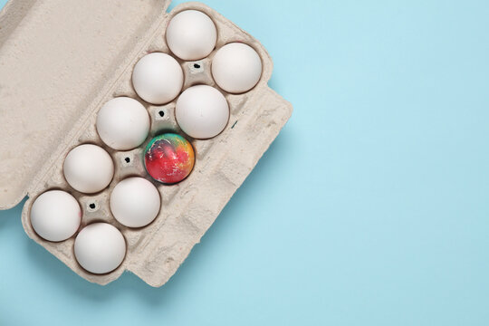 Colored Easter egg among white chicken eggs in a tray, blue background