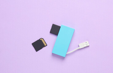 Card reader with two sd memory cards on a pastel purple background