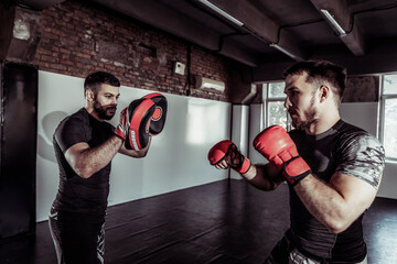 Male fighter trains punches with partner with training boxing paws