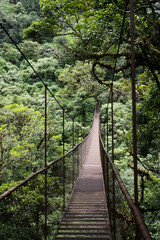Crossing suspension bridge deep inside rain forest in Panama