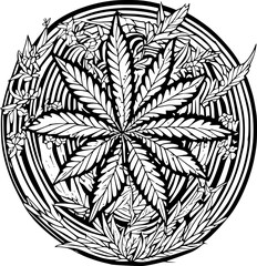 vector illustration of cannabis leaf