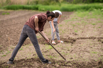 sustainable organic agriculture;hoeing soil , men tilling the orchard land with a hoe Weeding  Farming two Young farmers digging a garden mows  vegetables garden  land  Rural Moldova .