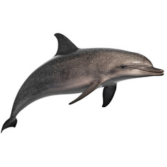 A dolphin leaping out of the water into the air. Generative AI