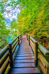 Obraz premium Scenic view of Blausee, a small lake in Kandersteg, Bern canton, Jungfrau region, Switzerland 