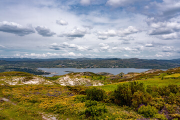 Naklejka premium landscape with clouds