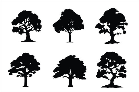 silhouette sculpture tree line drawing, Side view, set of graphics trees elements outline symbol for architecture and landscape design drawing. Vector illustration in stroke fill in white. Tropical, 
