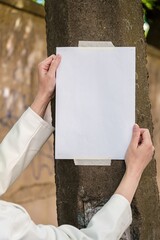 Women's hands glue a blank sheet of paper on a lamppost. Mockup