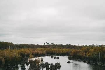 Cloudy Sky Over a Watery Swamp