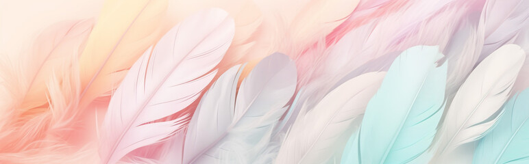 colorful feather background with pastel color