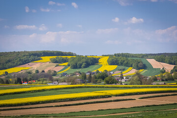 Spring countryside landscape with fields. - 606125427