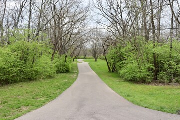 Fototapeta na wymiar The long empty pathway in the park.