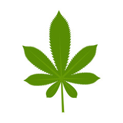 Cannabis leaves icon. Green medical plant for pharmacy isolated on white background