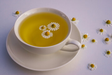 Herbal drink tea with fresh chamomile flowers  white cup copy space, healthy medicinal Rural still-life isolated on white table background Beautiful composition calming top view.