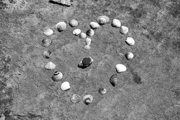 Sea shells arranged in a heart shape on the sandy beach of Crete island
